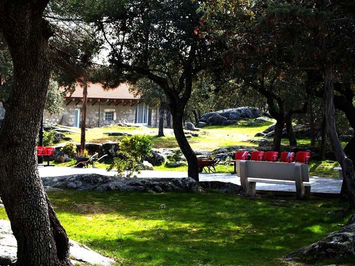 Zona ajardinada
