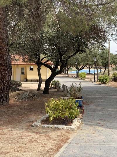 Camino de acceso interno de la finca